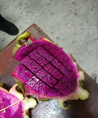 ���۸��᡿���ϲ���԰�ɫ�Ļ��������Ǻ�ɫ�ģ������Ϳ�ζ����