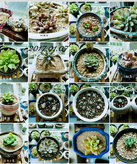 ��һ�����ҵ�������