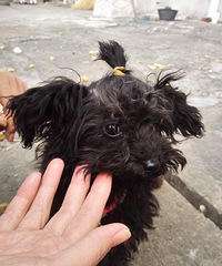 ������������Ц��