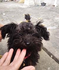 ������������Ц��