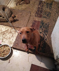 ����Ȯ��������������Ȯ���ɹ���Ȯ���۸��