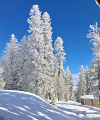 杭州长大的我 到了美国才开始学会滑雪