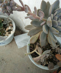 ���ܺ����۶��ˣ���ô���ȣ�