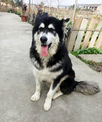 ĸ����������