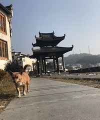 安徽才不止黄山呢 这里的古城才是最特别的