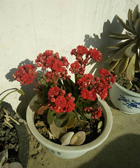 ������˲���