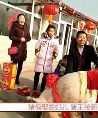 1260����������!����Ц��:�ǻ���̫���Ҳ��ҿ�