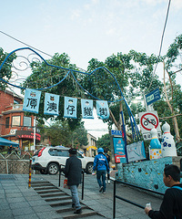 厦门有个地方为猫咪开了一条街!