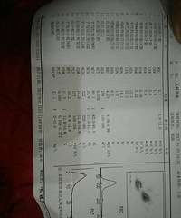 �����������������Ϸ���