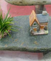 ��ɹ���⡿+�������Ҹ���