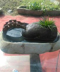 ��ɹ���⡿+�������Ҹ���