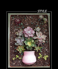 �����Ȥ���ˣ��ָ��˶���