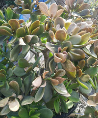 �����������ˣ����Լ���