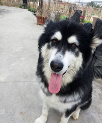 ��̨���п��Ը����˹��ܾ��ĵط�