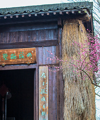 西溪梅墅