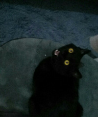 �ڻ����ˣ�2017һ����ɣ�