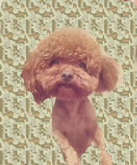 �����������˿�7������