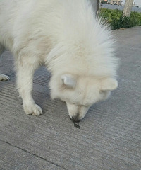 �������㶼û�������ߵĿ죬��������ס��ɵ