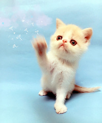 �ӷƱ������¼ҳ�