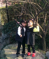 ��������ȥ����ɽ��԰��������������