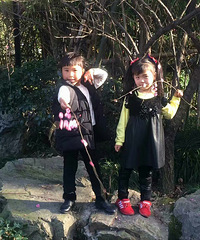 ��������ȥ����ɽ��԰��������������