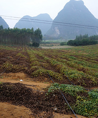 虽身在杭州 但原始古朴的地方对我而言有更大的吸引力