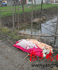 ��˫��̥׹������