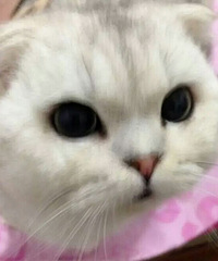 ��Ʒ�ո����۶��ֹ��������