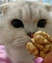 ��Ʒ�ո����۶��ֹ��������