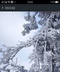 ���»�����