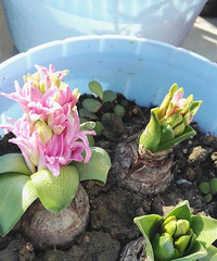 �ҵķ�����Ϊʲô�����������