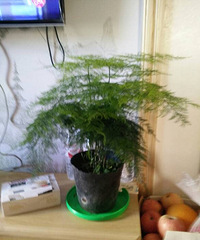 ����16������ģ��󲻹���