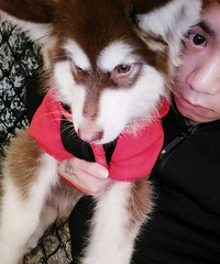 ��Ʒ����˹��3����