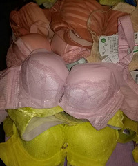 �������£����룩���ſ�