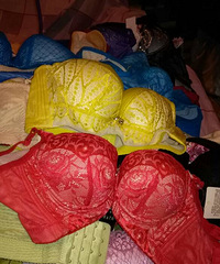 �������£����룩���ſ�