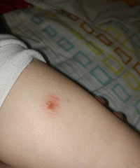 ���������������ô����