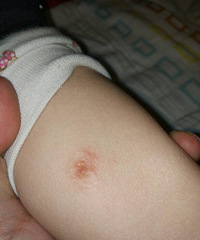 ���������������ô����