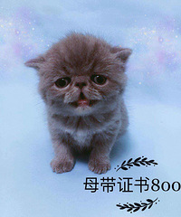 �ӷƱ������¼ҳ�