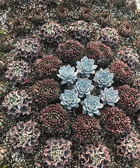 �Ҽ����ĺ���ӵ�е�����