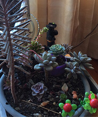 ��������ͨ����