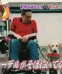 日本100岁的狗狗病危,主人请通灵师翻译后泪奔了