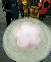 ����һ������Ů������