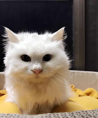 ĸè�������г�������