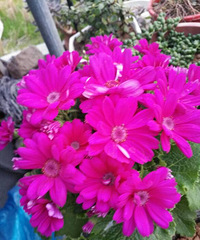 �����˽�