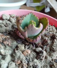 ������ˣ���������Ŷ������ˣ��󷽷�����