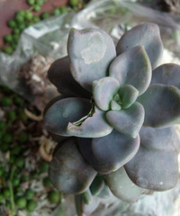 ������ˣ���������Ŷ������ˣ��󷽷�����