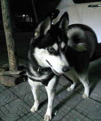 �� ���ǰͿˣ�С�������ͣ�������˴�����