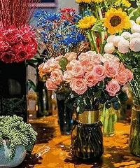 杭州这5家不正经餐厅,把服装、植物、家居和美食混搭,玩出了新高