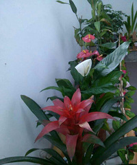 ��ѧ��������֪����Щ�������