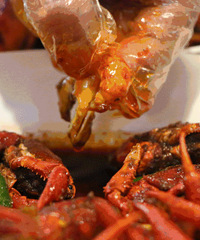 ��ü�!һ��У����"С��Ϻ"רҵ,�ƻ�����150��!�߰�,ѧ��Ϻȥ!